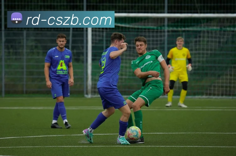 彩神争霸平台生态图